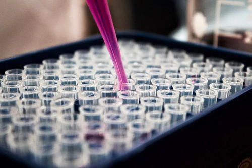 生物醫藥 高端制造,16個團隊將攜最新科技成果亮相新城
