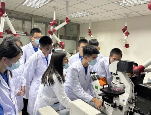 粵東學子探秘新藥研發(fā),生命科學夏令營驚喜連連